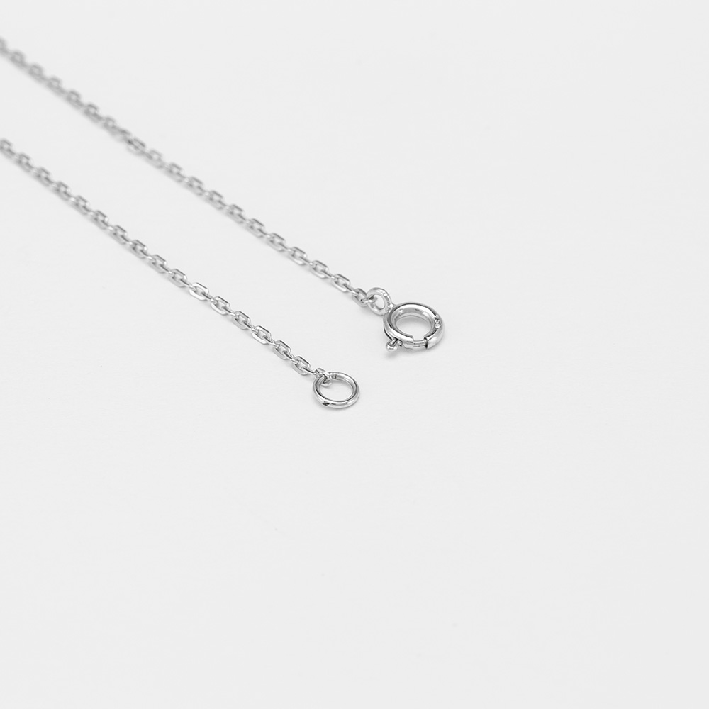 SET01R