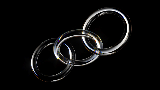 Adjustable Inner Diameter Ring